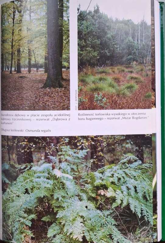 CamScanner 08.01.2026 13.55_30.jpg