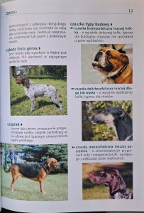 CamScanner 19.01.2026 13.44_2.jpg