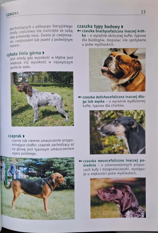 CamScanner 19.01.2026 13.44_2.jpg