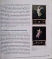 CamScanner 04.02.2026 13.09_19.jpg