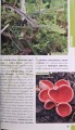 CamScanner 16.02.2026 14.46_10.jpg