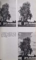 CamScanner 18.02.2026 13.43_13.jpg