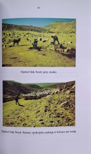 CamScanner 24.02.2026 13.58_30.jpg