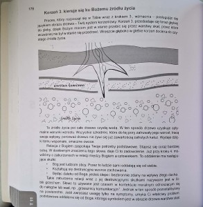 CamScanner 03.03.2026 14.20_16.jpg