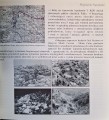 CamScanner 04.03.2026 14.25_12.jpg