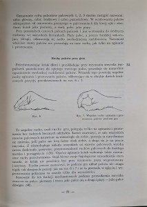 CamScanner 13.03.2026 13.20_27.jpg