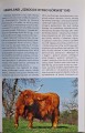 CamScanner 19.03.2026 11.56_17.jpg