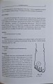CamScanner 19.03.2026 11.56_3.jpg