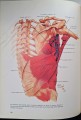 CamScanner 26.03.2026 13.28_30.jpg