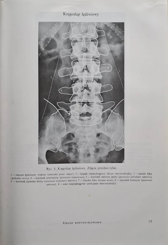 CamScanner 31.03.2026 14.27_17.jpg