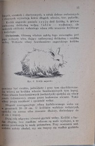 CamScanner 10.04.2026 09.29_24.jpg