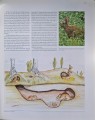 CamScanner 17.04.2026 14.57_28.jpg