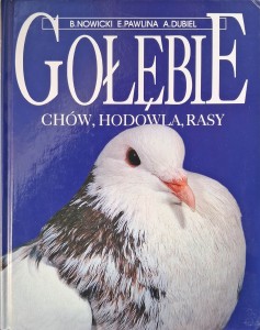 Gołębie chów, hodowla, rasy Nowicki