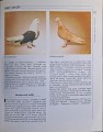 CamScanner 27.04.2026 14.20_35.jpg