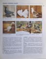 CamScanner 27.04.2026 14.20_37.jpg