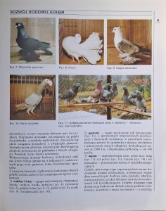 CamScanner 27.04.2026 14.20_37.jpg
