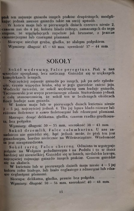 CamScanner 13.05.2026 12.49_9.jpg