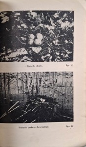CamScanner 13.05.2026 12.49_11.jpg