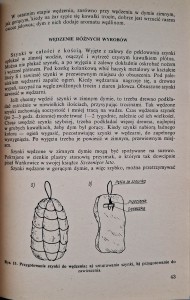 CamScanner 19.05.2026 15.39_4.jpg