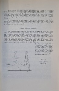 lekka atletyka Pabiś.jpg