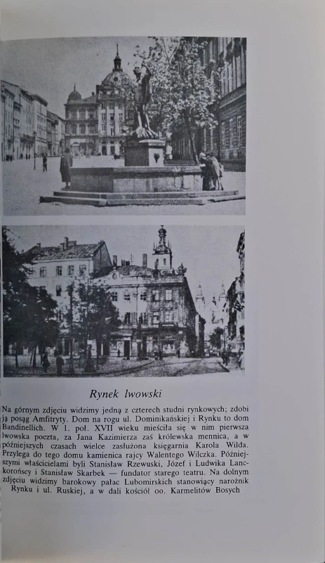 zew lwowa hełm-pirgo.jpg