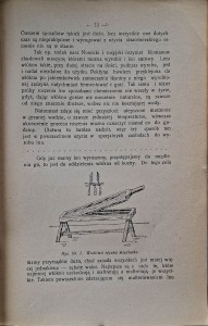 krótki zarys len 2.jpg