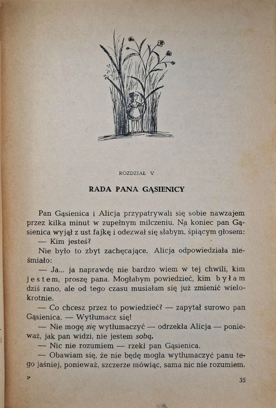 alicja w krainie czarów 5.jpg
