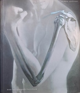human anatomy.jpg