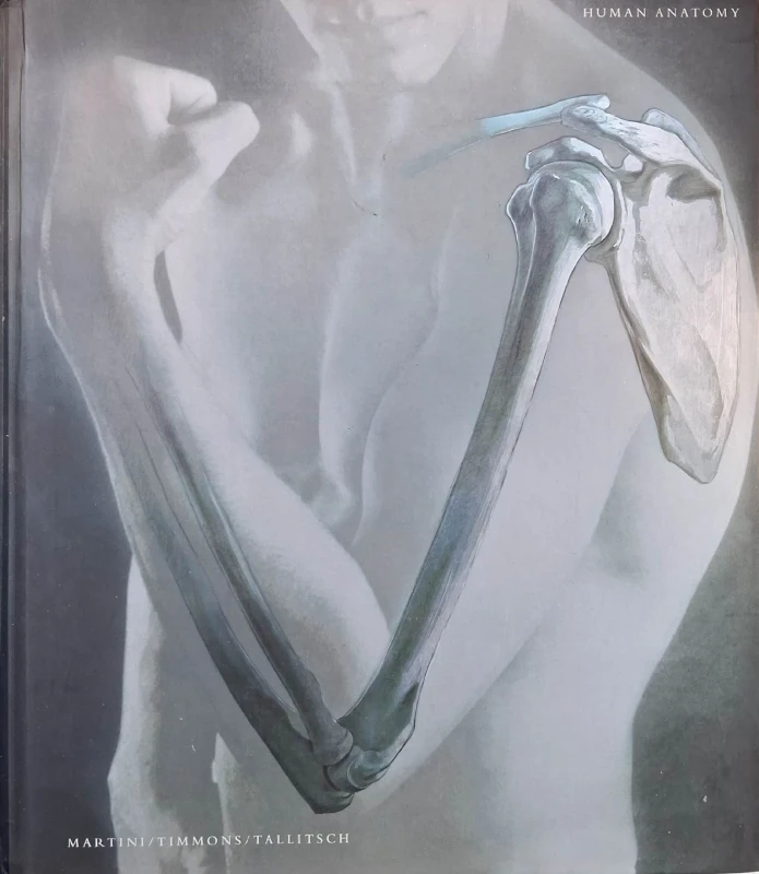 human anatomy.jpg