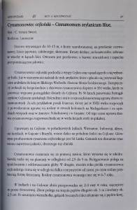 afrodyzjaki glinka.jpg