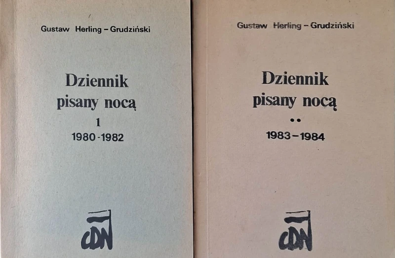 dziennik pisany nocą.jpg