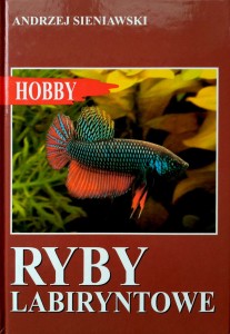 Andrzej Sieniawski, Ryby labiryntowe
