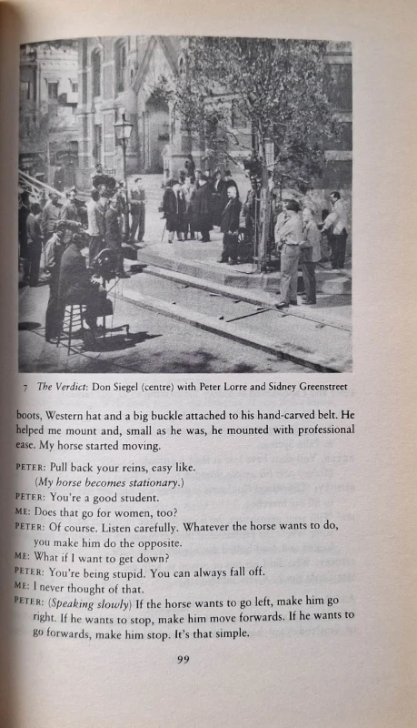 Don SIegel Film 4.jpg