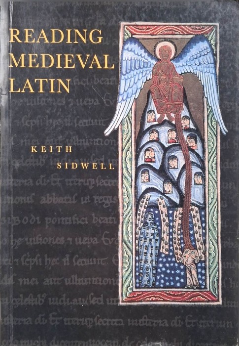 reading medieval latin.jpg