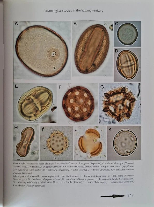 archeologia jaćwierzy 3.jpg