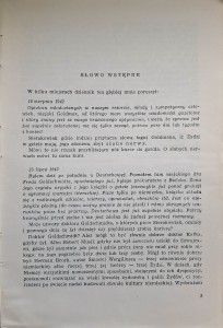 dziennik dawid sierakowiak 2.jpg