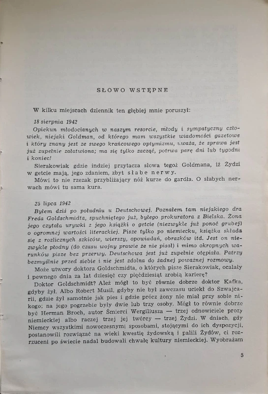 dziennik dawid sierakowiak 2.jpg