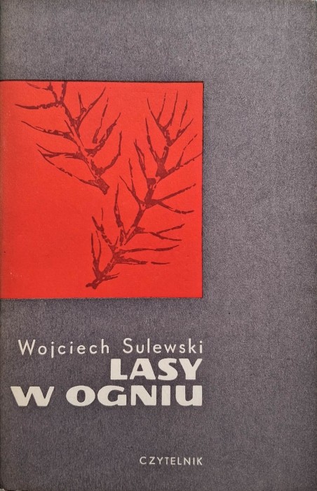 sulewski lasy w ogniu.jpg