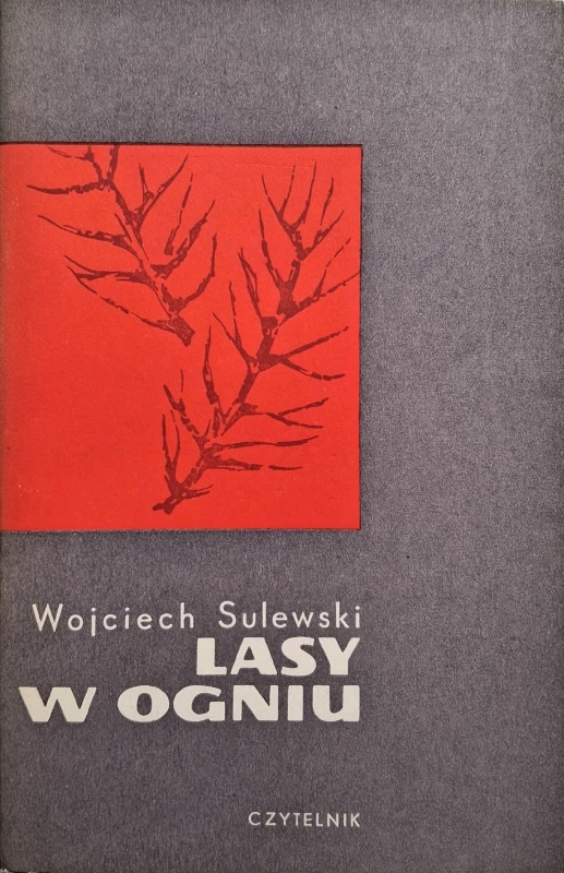 sulewski lasy w ogniu.jpg