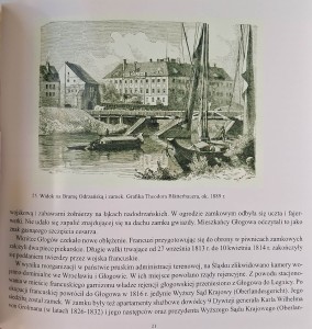 dymytryszyn zamek w głogowie 2.jpg