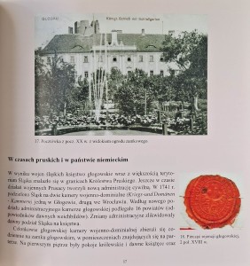 dymytryszyn zamek w głogowie 3.jpg