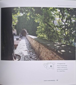 pieskowa skała 2.jpg