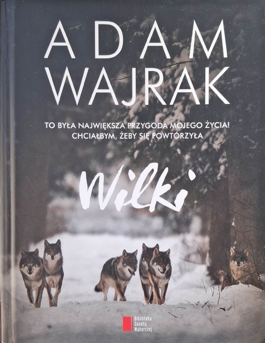 wilki wajrak.jpg