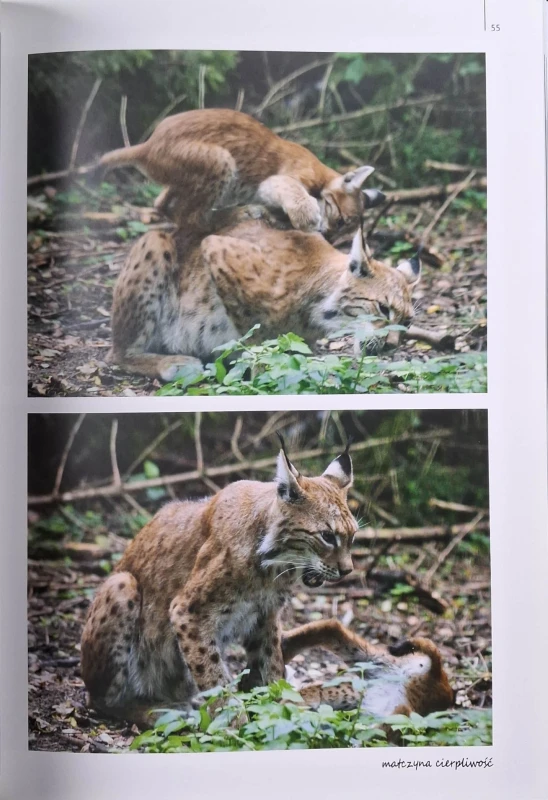 urodzić się żeby być wolnym 2.jpg