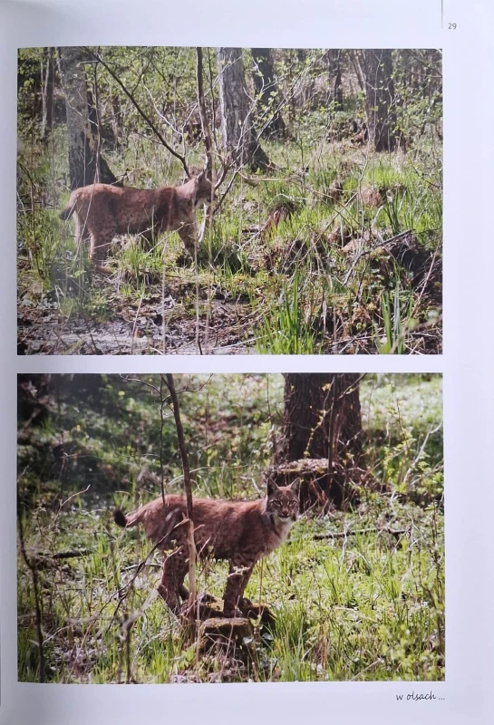urodzić się żeby być wolnym 3.jpg