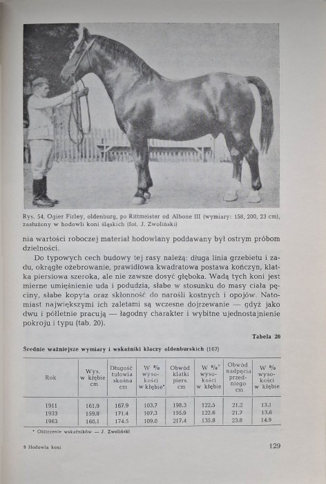 hodowla koni zwoliński 2.jpg