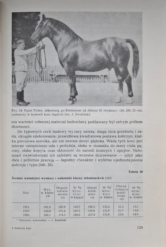 hodowla koni zwoliński 2.jpg