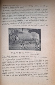 zwoliński hodowla koni 2.jpg