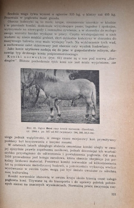 zwoliński hodowla koni 2.jpg