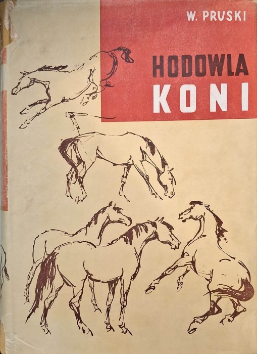 pruski hodowla koni.jpg